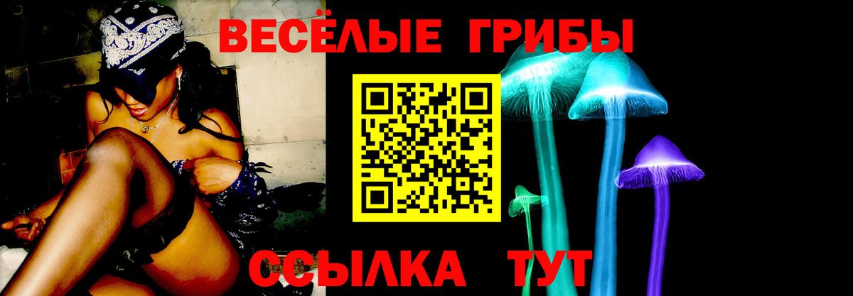 даркнет сайт  Галлюциногенные грибы Psilocybine cubensis  Знаменск  Вход с VPN  Псилоцибиновые грибы прущие грибы 