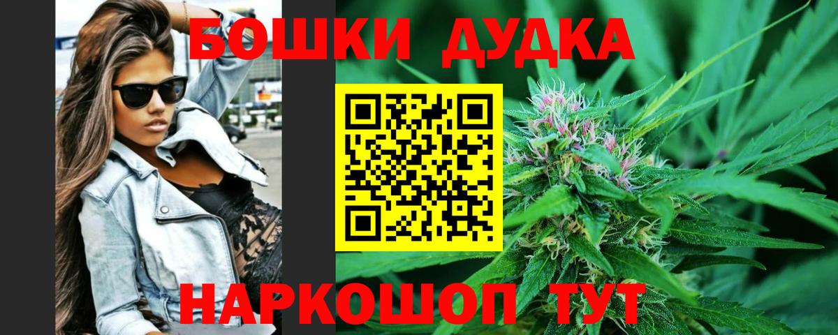 Каннабис планчик  Каннабис сатива  Бошки марихуана семена  Конопля марихуана  Вход с VPN  Знаменск 